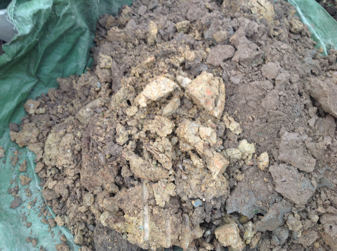 Komposter zügeln Fargesia setzen 24. 25.10 (5)