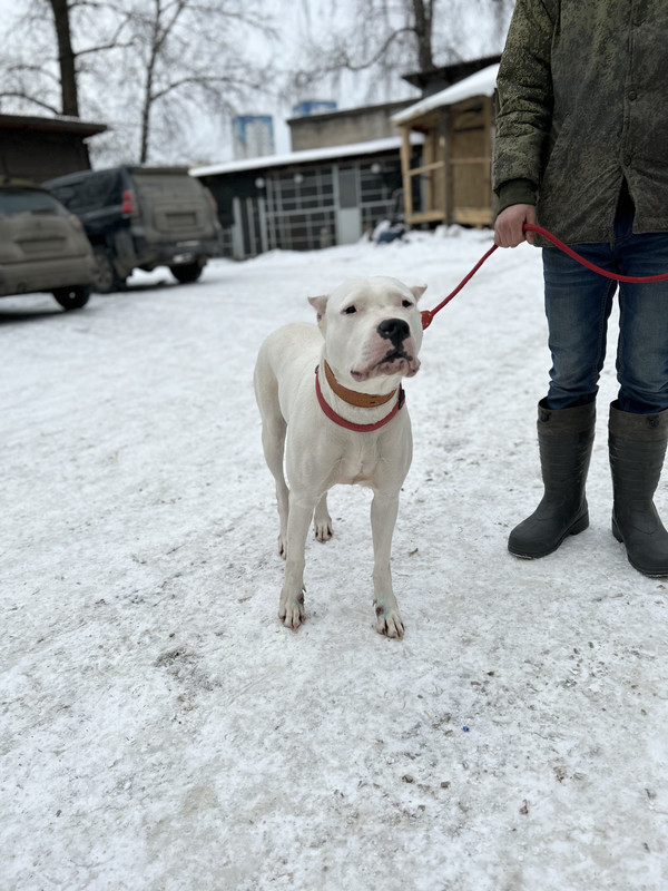 3E4D0A64-C2CC-4336-9F28-9E5CD871D76D