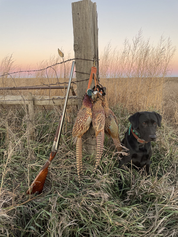 w4bBHrefRtuaHbcSG24WGg