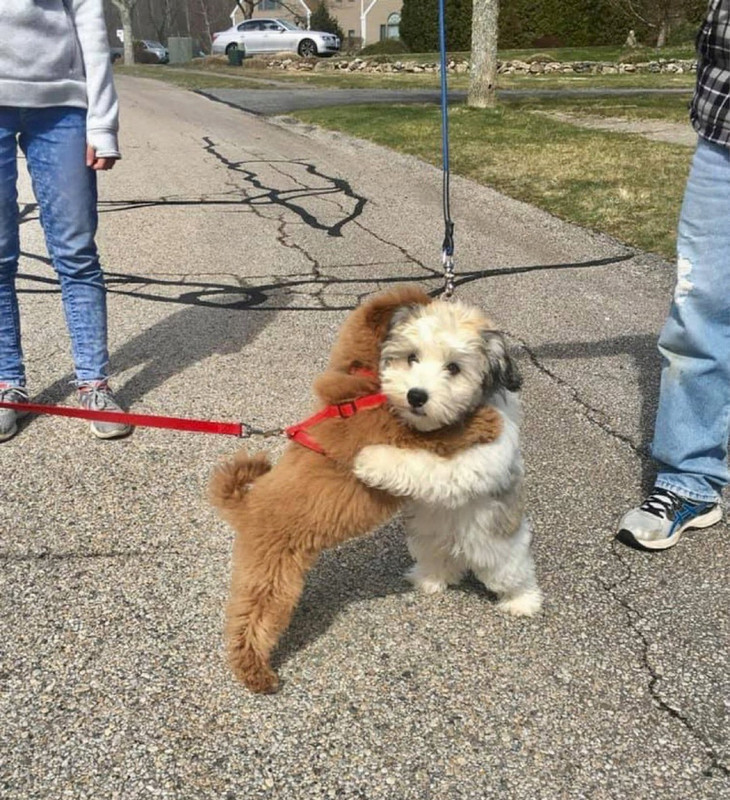 https://i.postimg.cc/XvCkXr7h/72470926-original.jpg