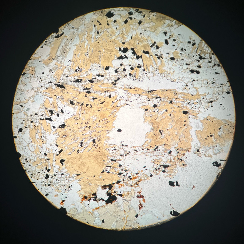 the same slide but in plain polarized light, making it much less colorful