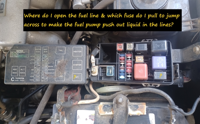 fuses.jpg