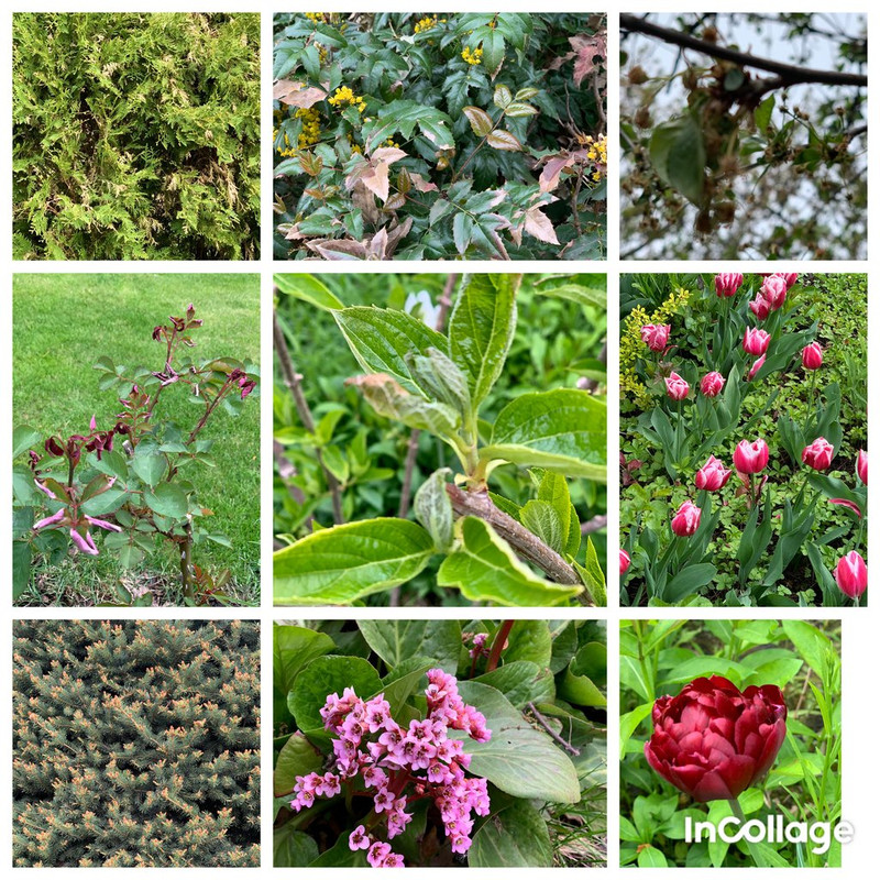 2BE215F8-B397-42FB-812F-C8C024057854