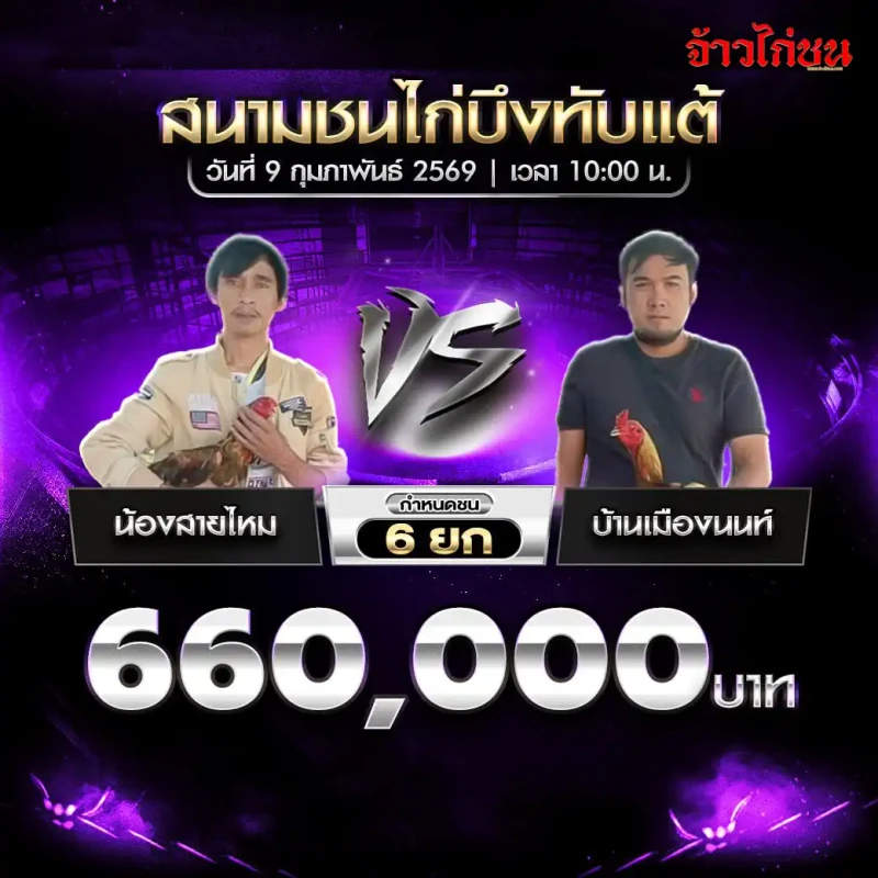 น้องสายไหม พบ บ้านเมืองนนท์ โปรแกรมไก่ชน ชิงเงิน 660,000 บาท