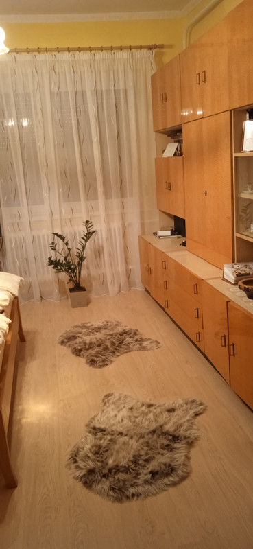 IMG_20221020_175301[1]