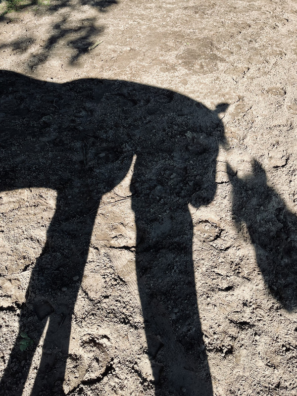 596472E5-4C33-4C16-B6C7-C353A6DD0D58