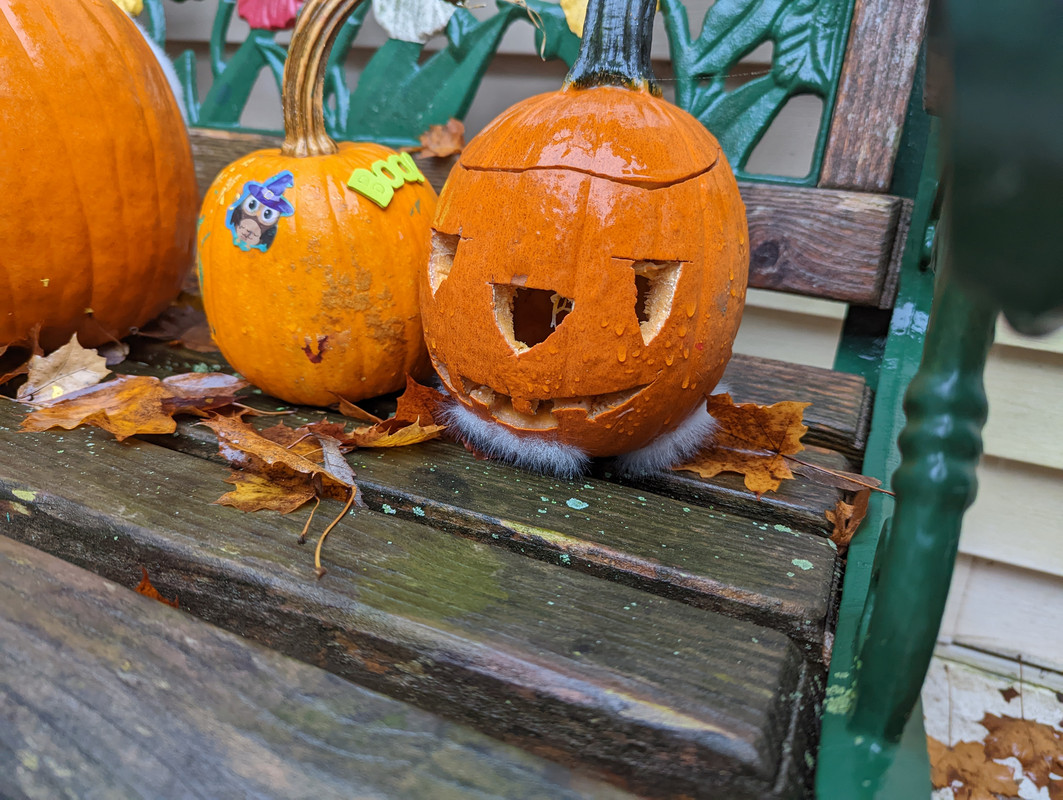 PXL_20221025_123132718.MP