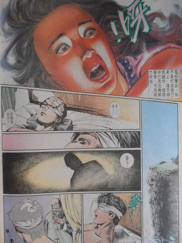 中華英雄：無争的传人