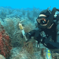 GIFs-15
