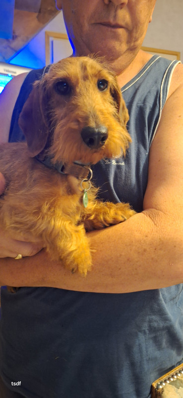 [Image: 20250812-180249.jpg]