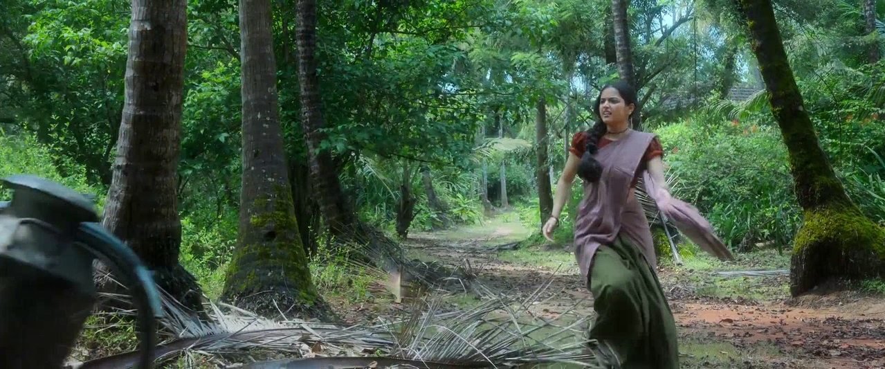 vlcsnap 2026 02 14 09h30m01s306