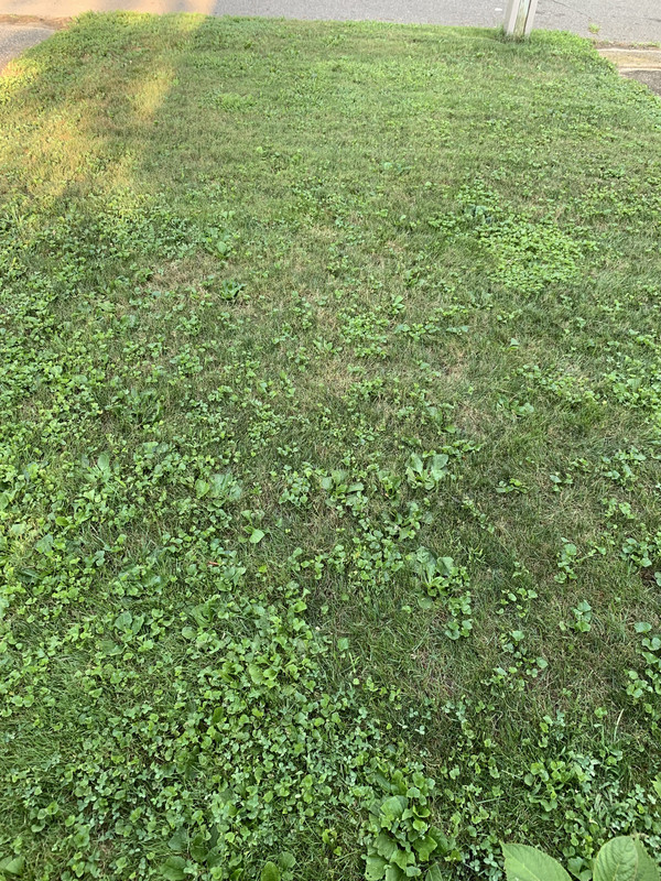 5B07CE1E-EDAC-4311-B576-39C0E47E7E7E