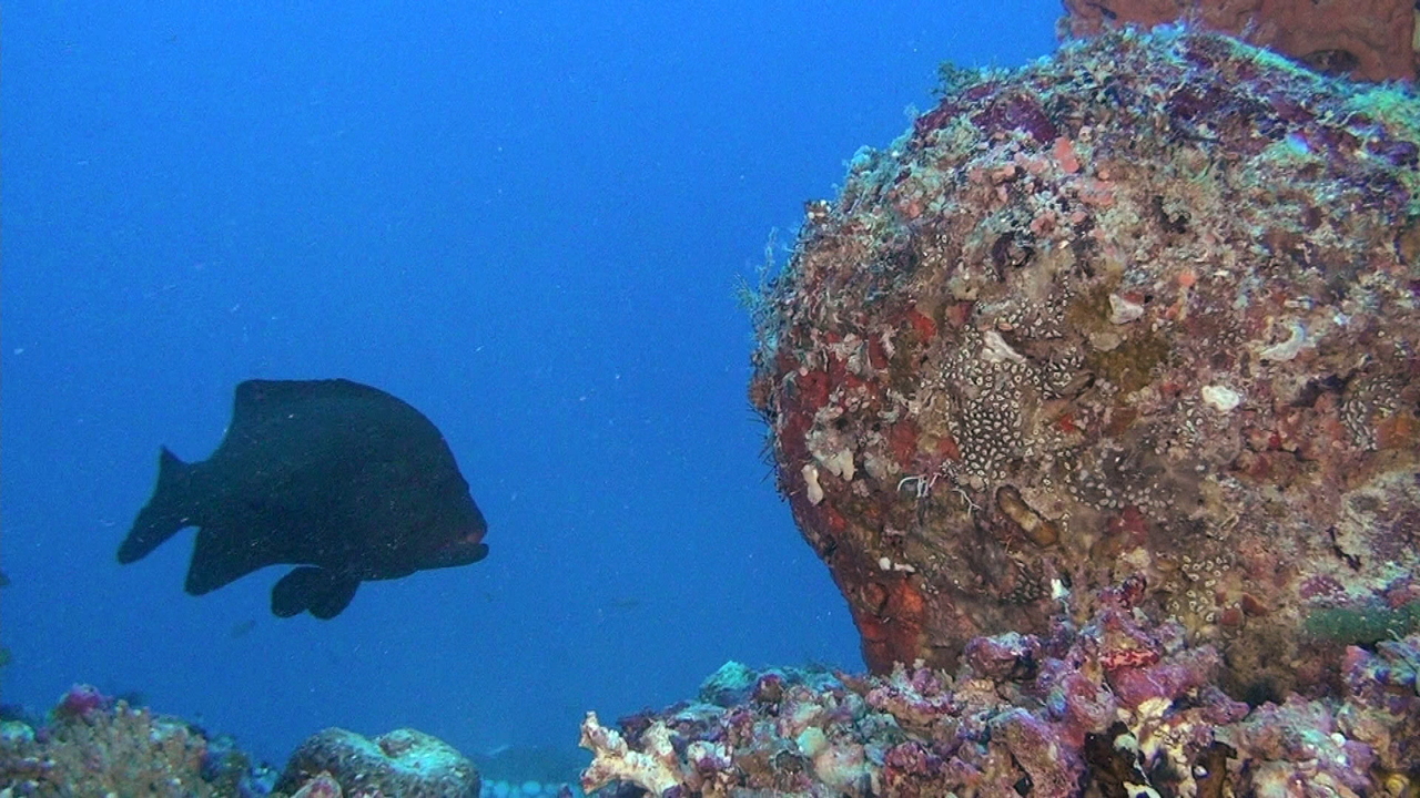 vlcsnap-2023-12-21-20h44m15s654