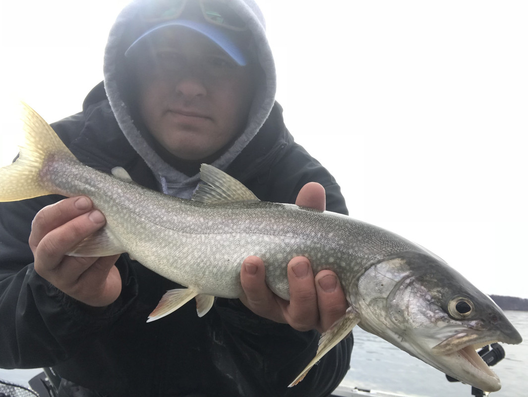 8CA35C6D-5227-451F-974C-88267F277CAA