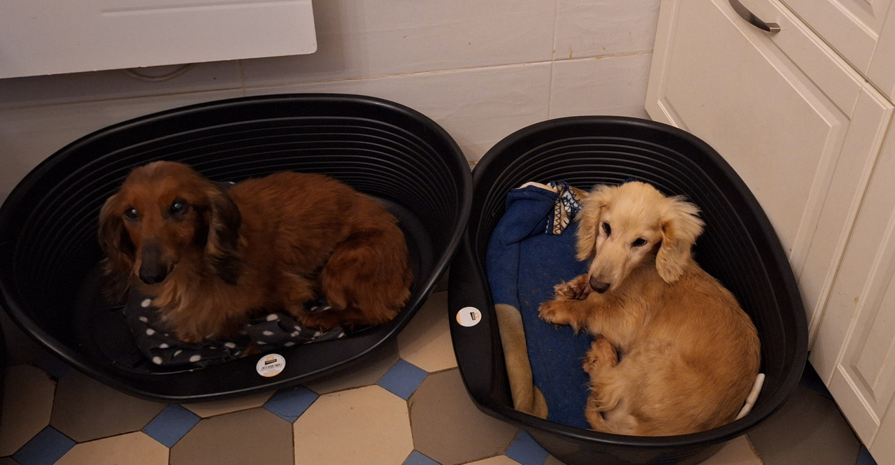 [Image: 20240711-195344.jpg]