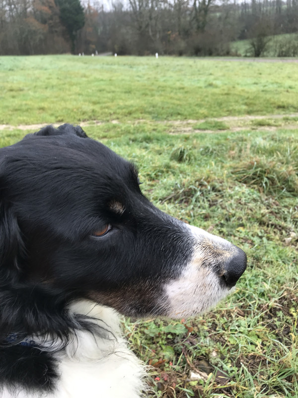 A889E6DE-0133-4719-B502-EC500215A2EE