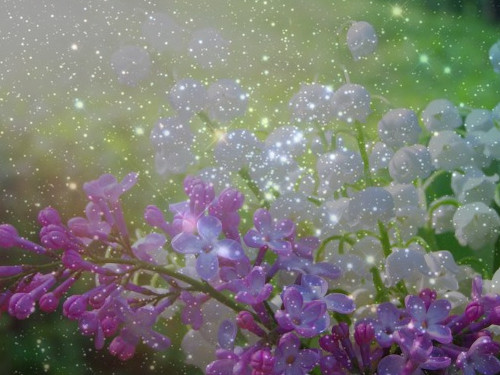 [Изображение: photo-2026-03-29-08-33-39.jpg]