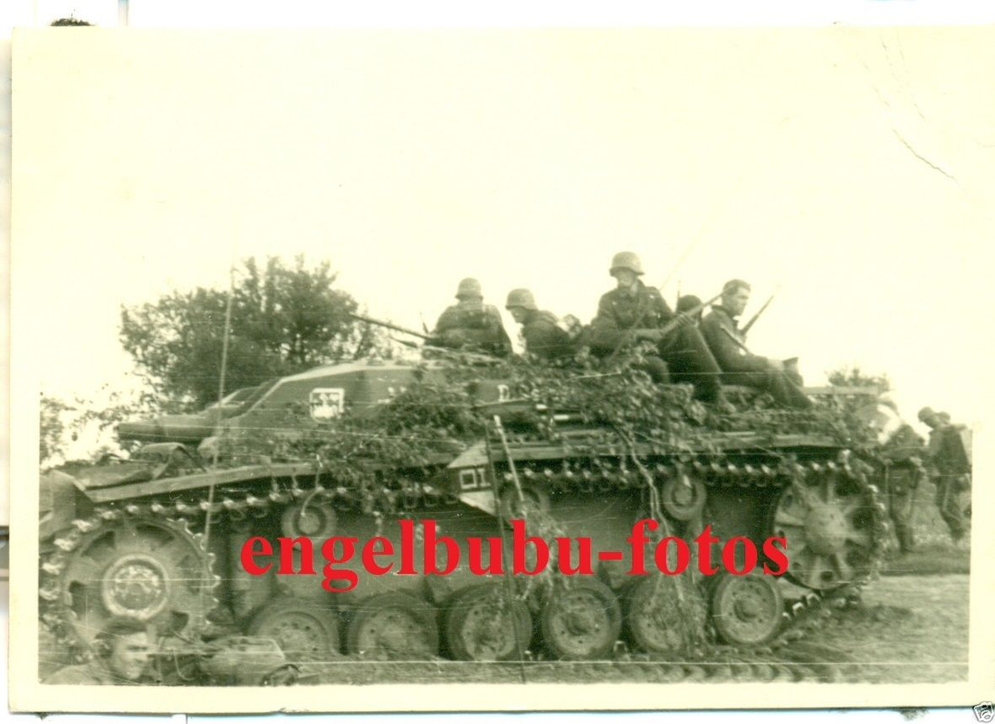 STURMGESCHÜTZ - PANZER - STUG ABT. 243 - STALING