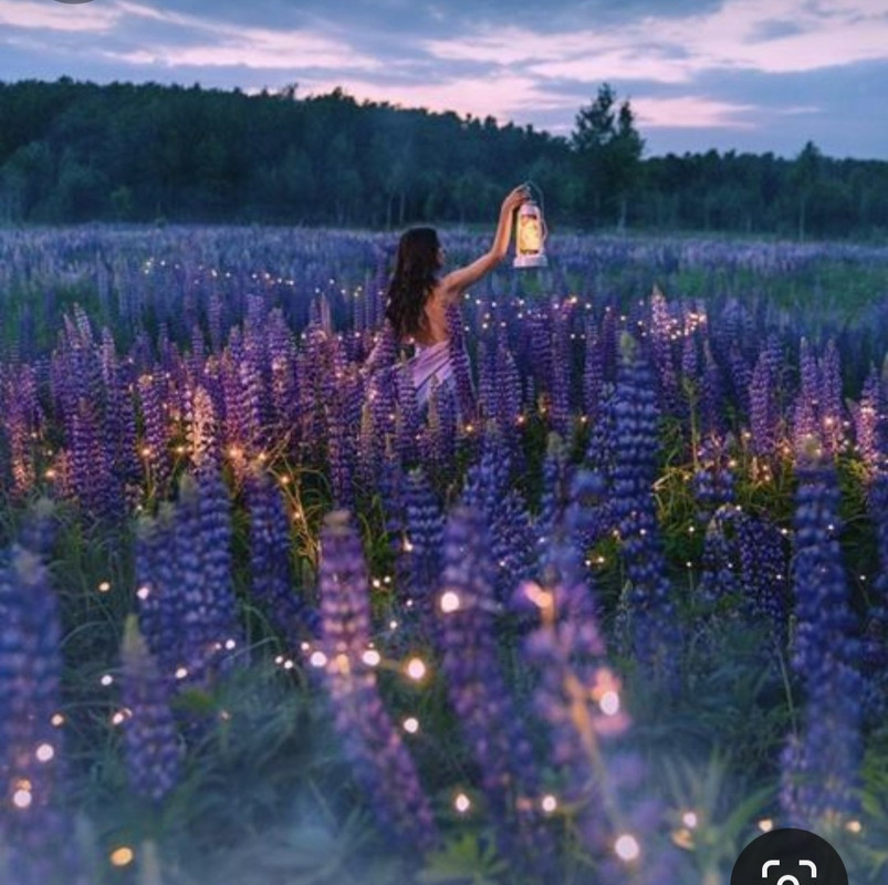 Screenshot_20240405_224424_Pinterest