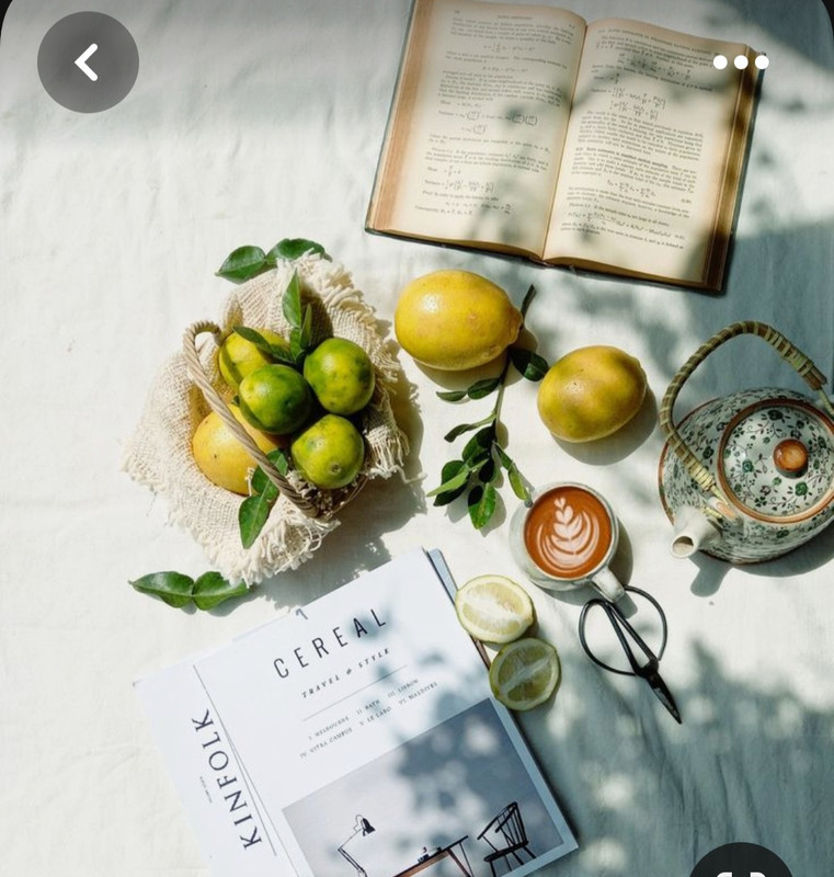 Screenshot_20230807_000700_Pinterest