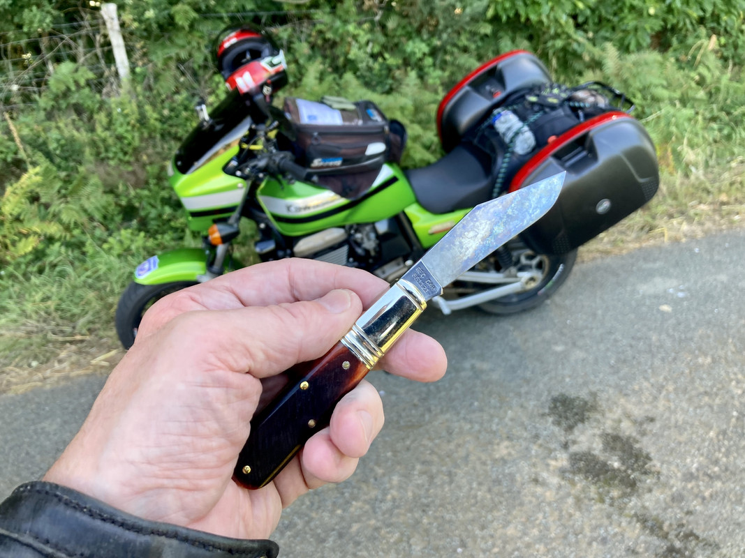 D94C565F-4EBA-4B90-AF37-9866BC398961