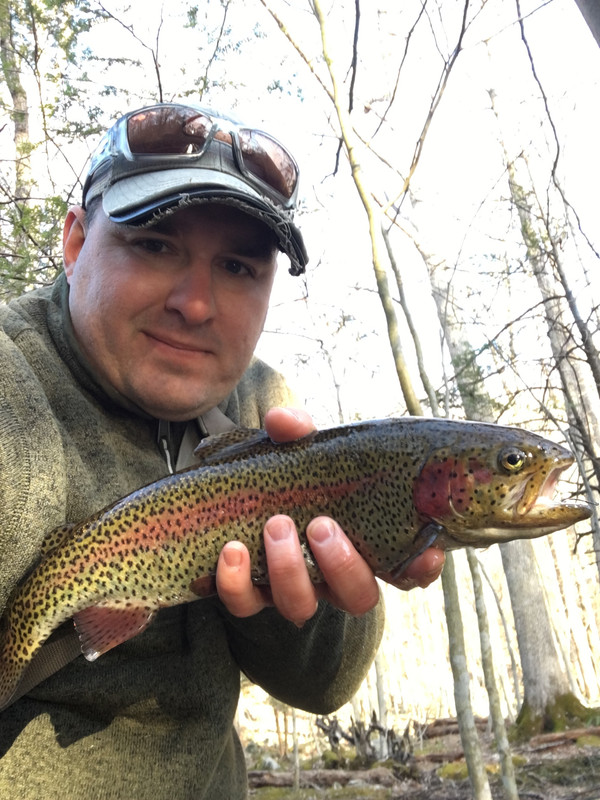 3AFEF206-E314-4399-849B-8EB496DECA7D