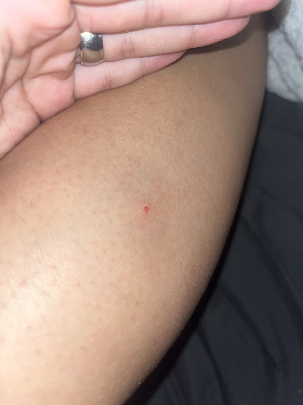 IMG 90B39687 D95B 45D6 9FFD 27CD65F9B7BD