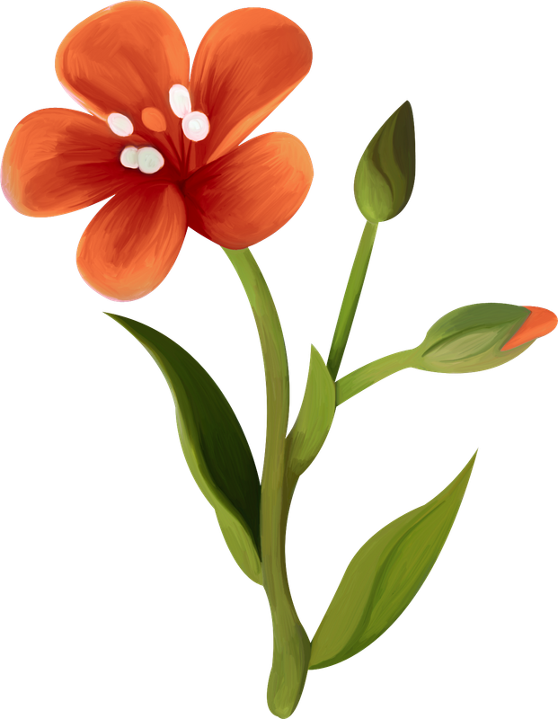 Kastagnette_PrettyGarden (30)