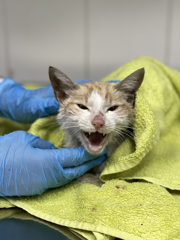 0C832B14-F29C-4A2E-9B70-48BE826434BB