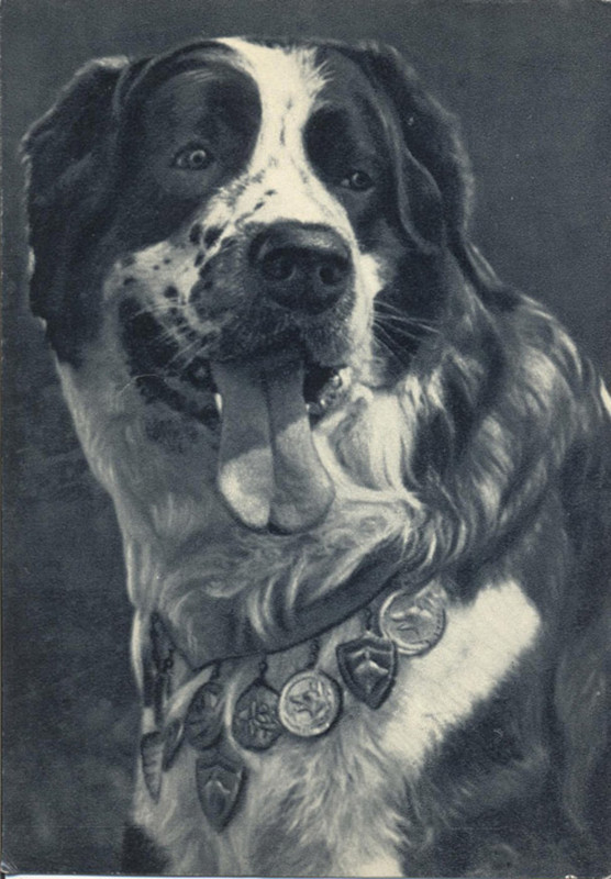 Московская сторожевая 1969 Планета 17