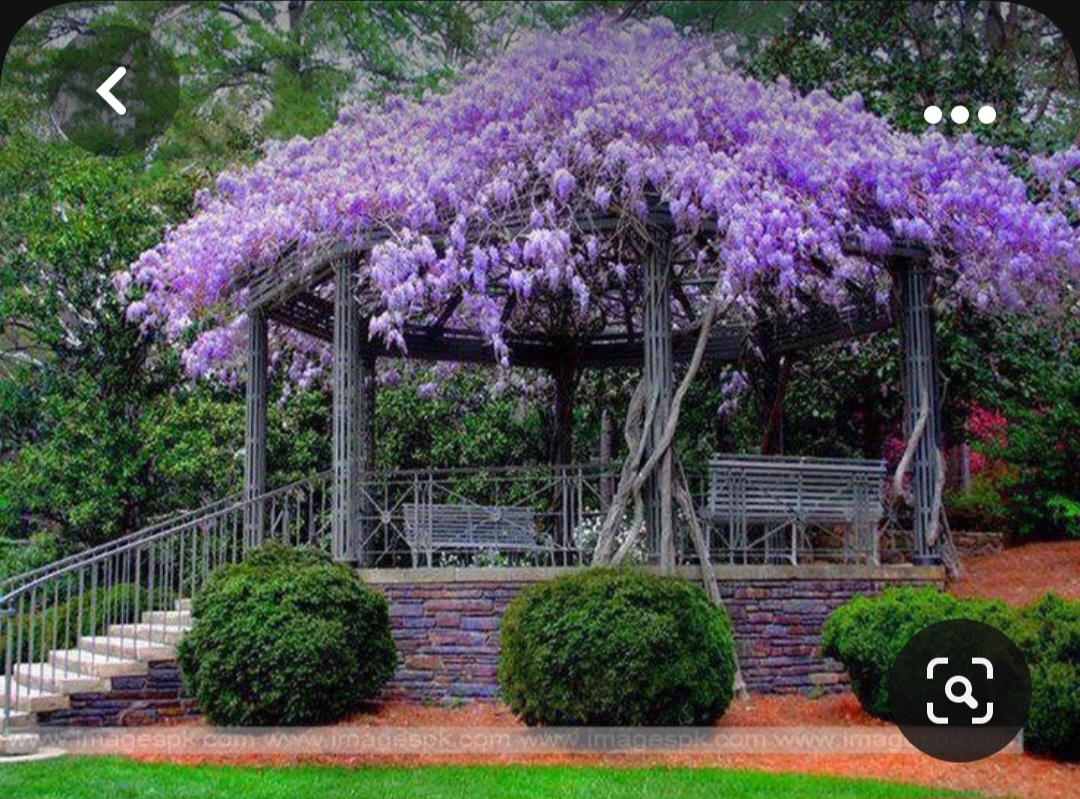 Screenshot_20231020_212403_Pinterest