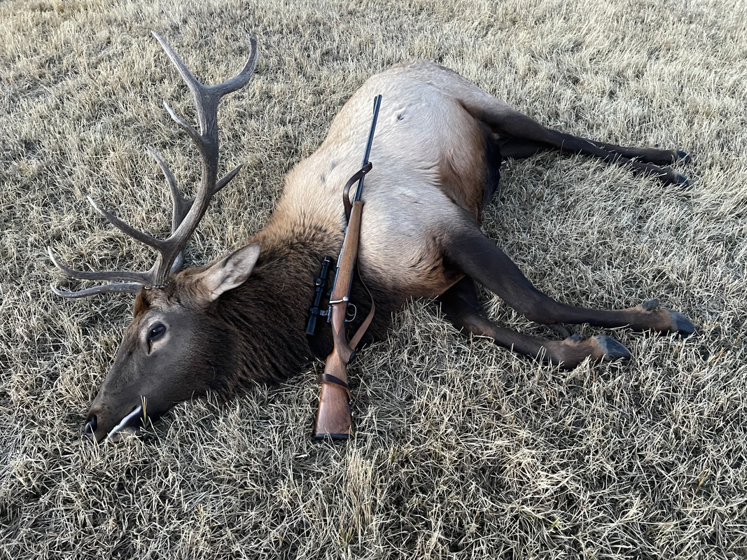 F53EC074-D823-43CA-8C18-7069A00DB240