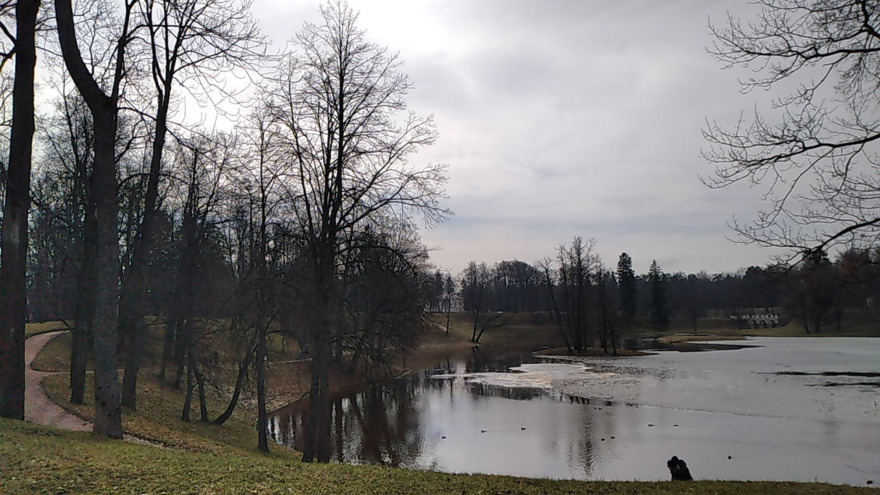 IMG 20240331 123834 — Postimages