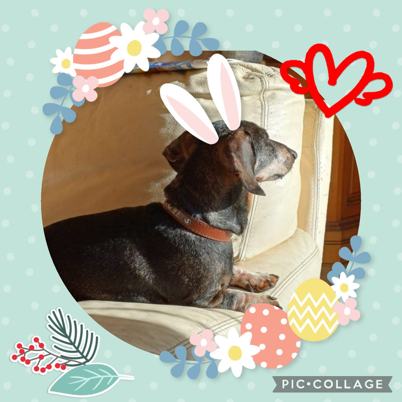 [Image: Collage-2024-03-31-10-55-15.jpg]