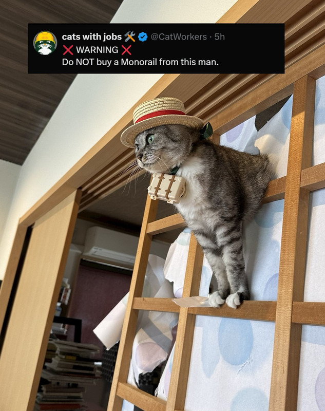 dont-buy-a-monorail-from-this-cat.jpg