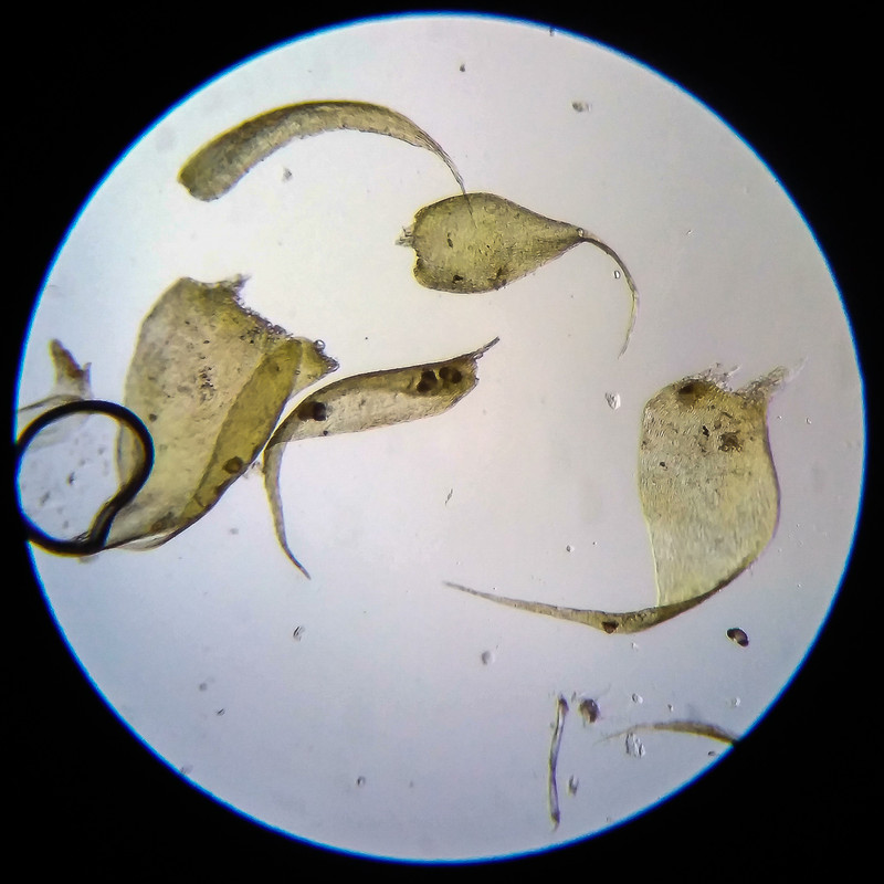 IMG 20250614 204934 HDR