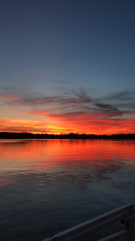 2333D213-F164-4AB6-A1A7-2E175A862E0D