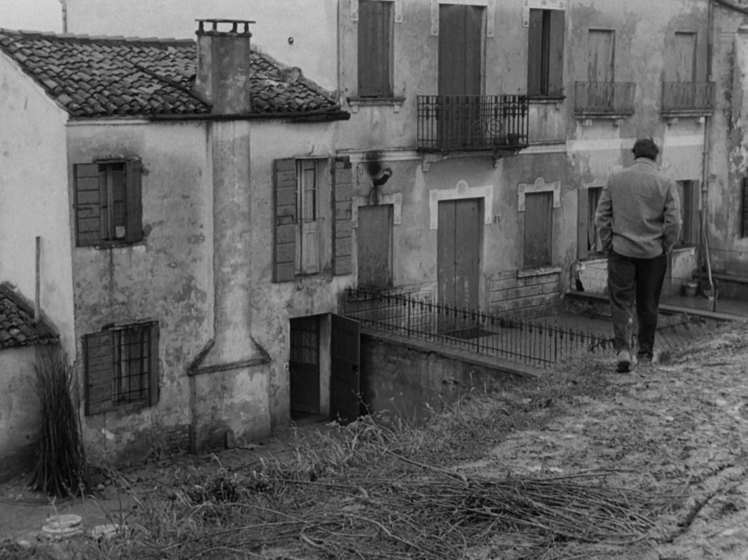 vlcsnap-2022-07-22-20h01m19s490