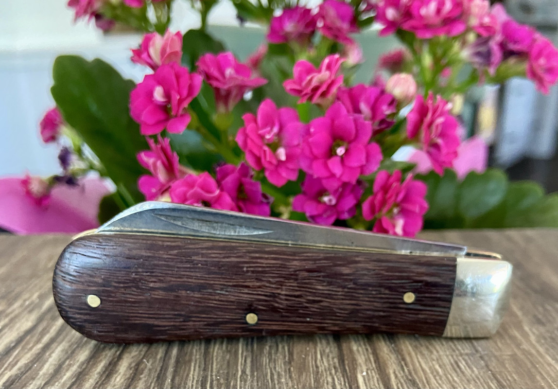 B8F2D0A5-FE17-4579-B9AC-66A16C56B1B1_1_201_a