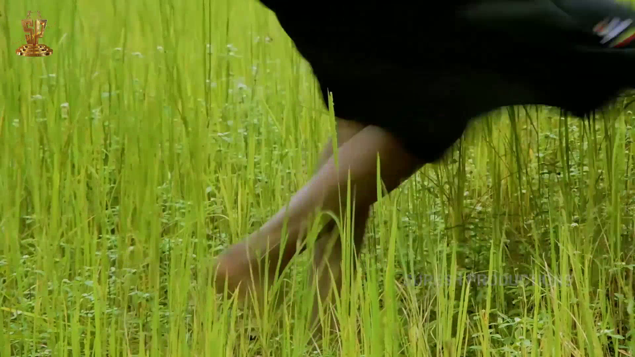 vlcsnap 2026 02 28 18h18m19s440