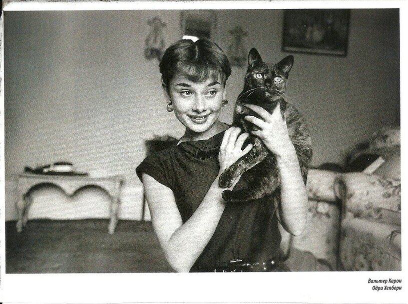 Audrey-Hepburn