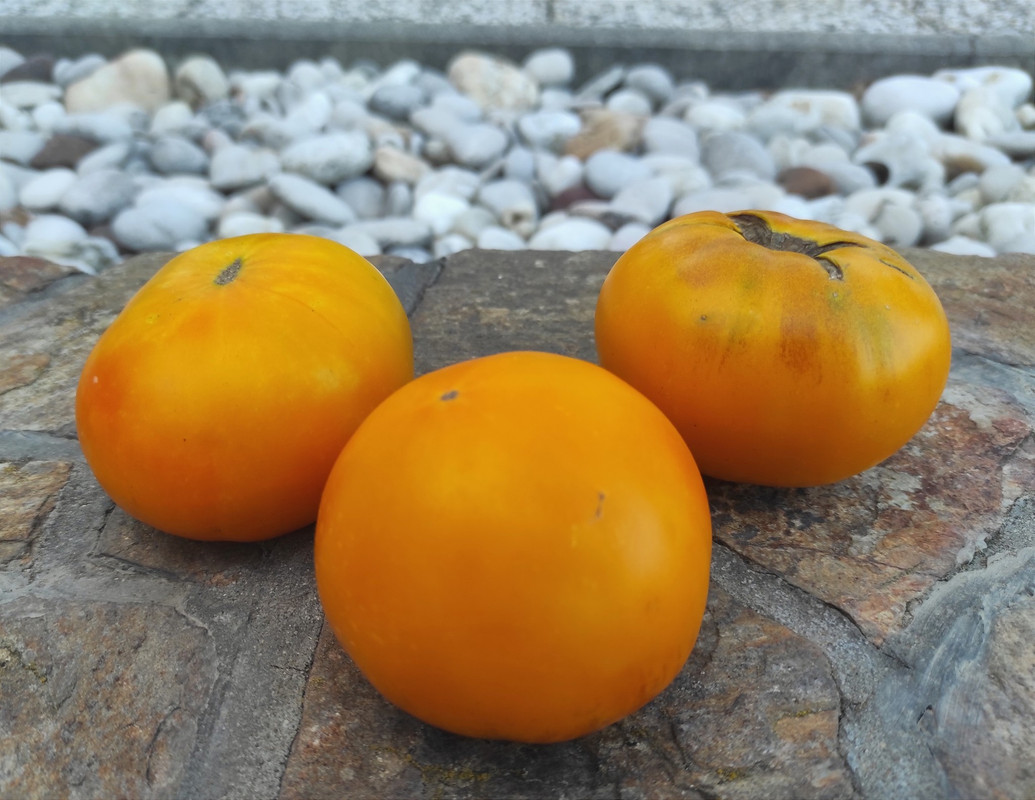 547284905_24548511848101183_6011991326148087028_n