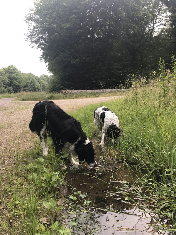 89C62B31-1AEE-4E14-B158-18DCB0E298E9