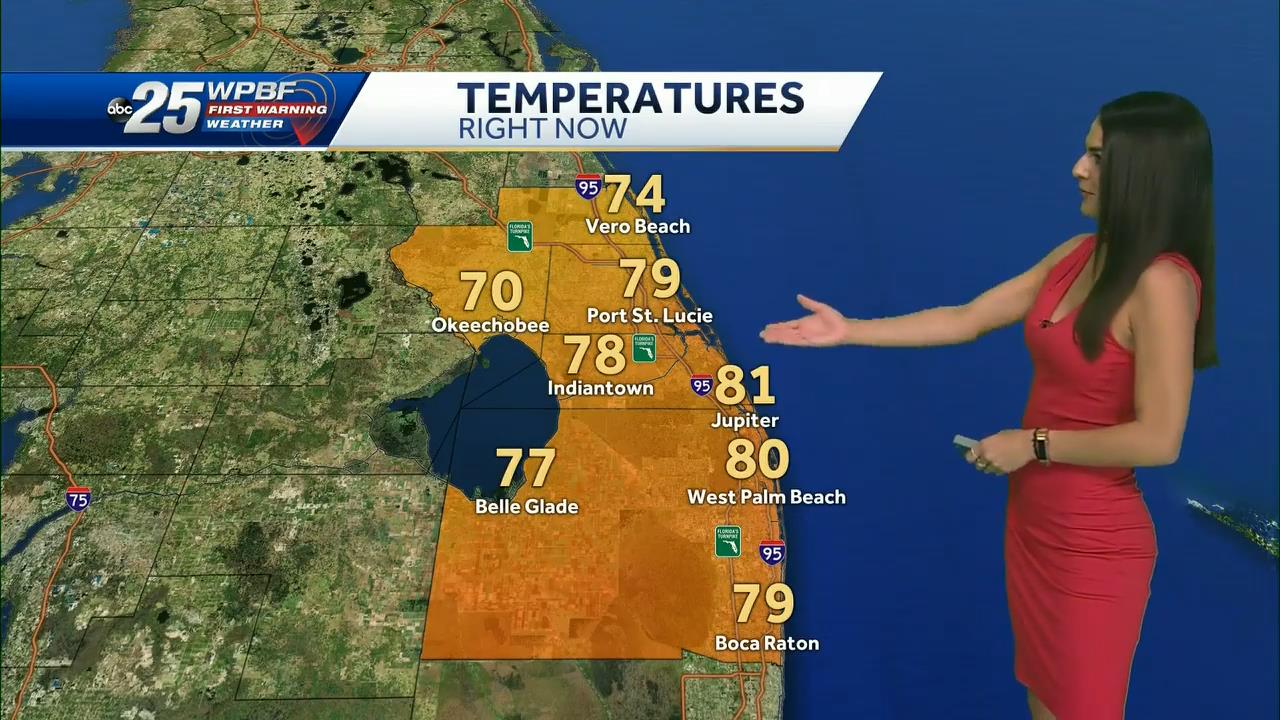 11.22 - 22.00.00 - Wpbf 25 News At 5 00.-1.m4v_snapshot_00.33.23_[2020.11.23_14.33.54]