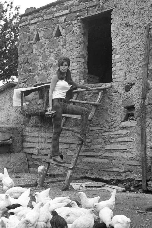 raquel_welch_f80