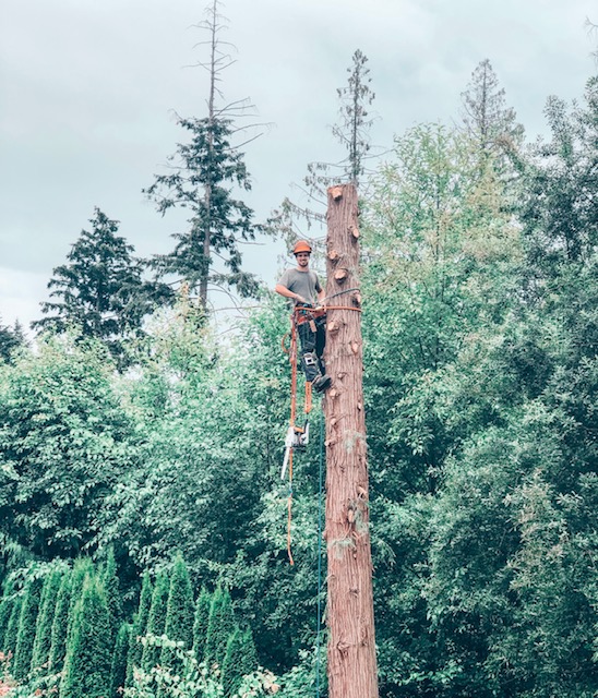 !cid_612EF17D-2C8D-49A2-BAF1-F98ADF01346C-L0-001