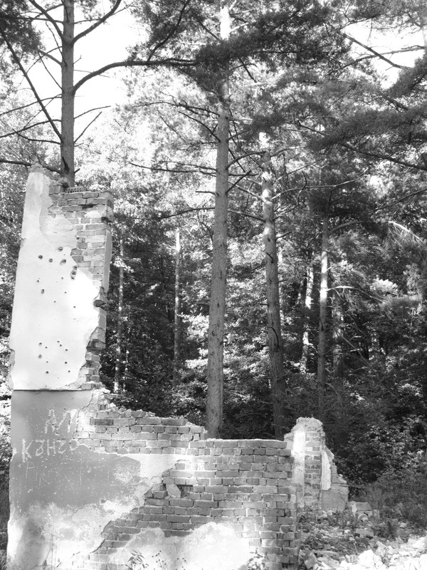 BulgariaTek After Party 2011 (1)