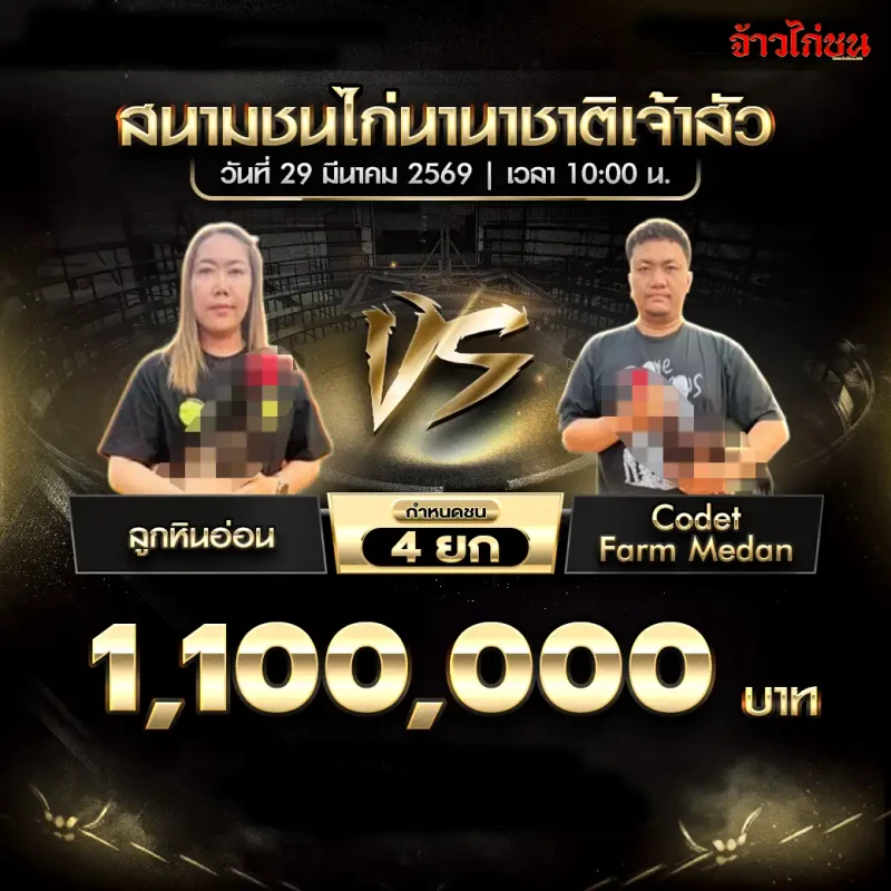 ลูกหินอ่อน พบ Codet Farm Medan โปรแกรมไก่ชน สนามชนไก่นานาชาติเจ้าสัว 29 มีนาคม 2569