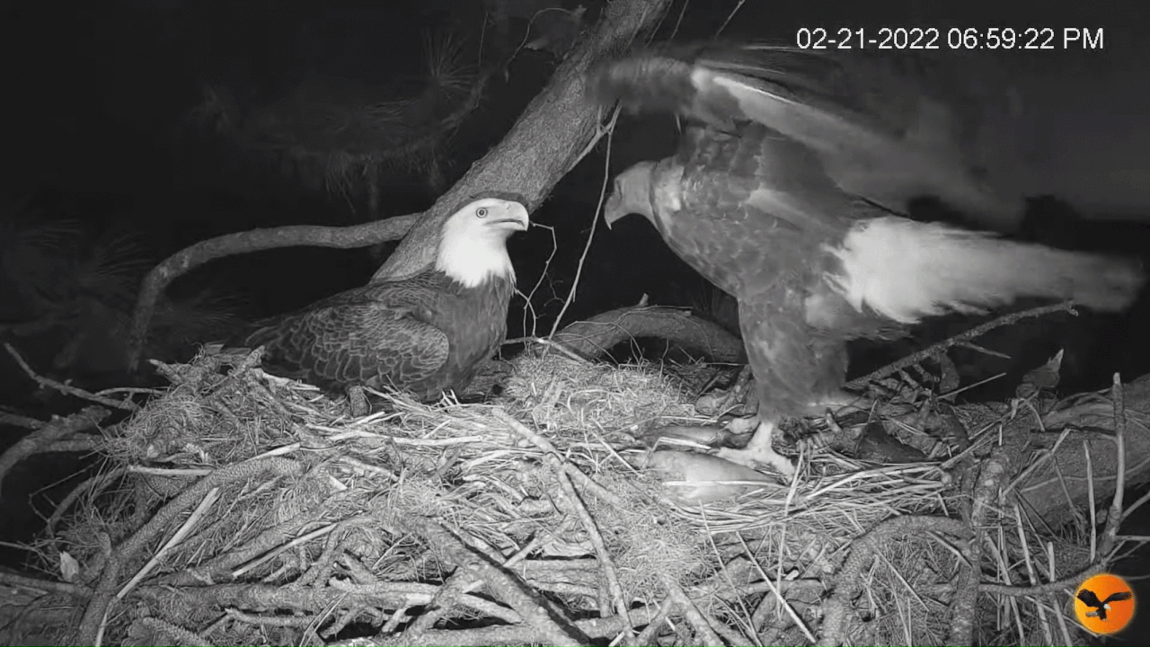 Webp.net-gifmaker (2)