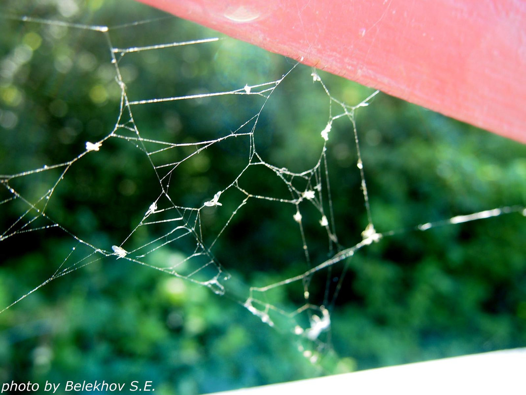 Дивногорье Дивногорье